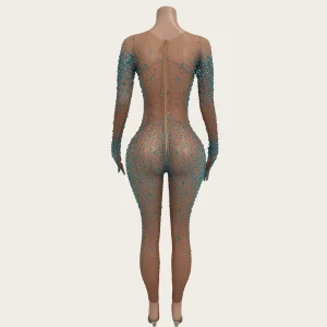 Tiaotiaotang Women Sparkly Rhinestones Mesh Tight Fitting Jumpsuit Sexy Showgirl Performance Wear Nightclub Party gig Stage Wear - AliExpress Jumpsuits&Rompers
