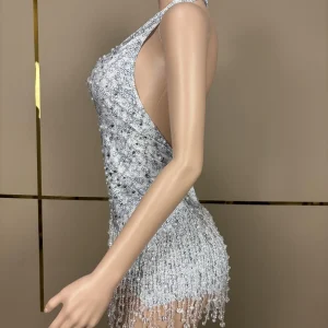 Bingzhui Sexy Women Dance Wear Sparkly Crystals Tassel Bodysuit Stage Performance Rhinestones Outfit Night Club Showgirl Leotard - AliExpress Jumpsuits&Rompers