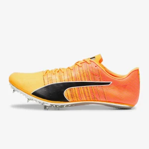 Puma Genuine evoSPEED BRUSH 6 Unisex Track & Field Running Shoes 380022-01 - AliExpress Sneakers
