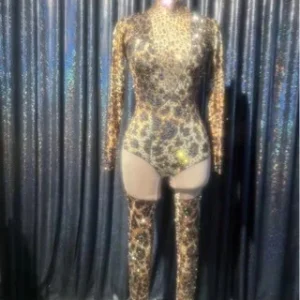 Women’s Leopard Print High Neck Long Sleeve Rhinestone Embellished Sheer High-Slit Bodysuit Dress Stage Performance Outfit - AliExpress Jumpsuits&Rompers