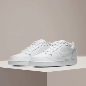 Nike Ebernon Low-Top Classic Comfort Slip-Resistant Cushioning Durable Everyday Unisex Skate Shoes AQ1779-100 - AliExpress Sneakers