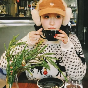 Heavyweight Woolen Sweater 00% Wool Thi Needle Knit Deer Pattern Retro Sle Women's Commute Faion Straight Cut Long Sle... - AliExpress Sweaters&Jumpers