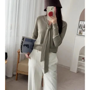 Elegant High-End Woolen Knit Sweater Women's Soft V-Neck Sash Long Sleeve Straight Cut Comfortable Fit Autumn Fashion - AliExpress Sweaters&Jumpers