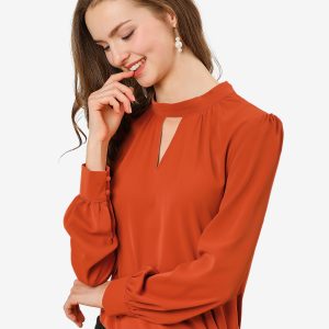 Keyhole Elegant Stand Collar Long Sleeve Chiffon Office Blouse Brown Red/S - Allegra K catalog