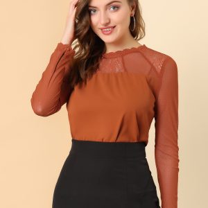 Lace Mesh Long Sleeve Top Round Neck Casual Elegant Blouse Brown Red/3XL - Allegra K catalog