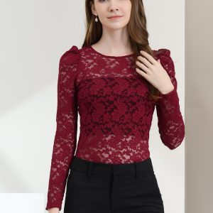 Retro Lace Semi Sheer Puff Long Sleeve Embroidery Blouse Dark Red/XL - Allegra K catalog