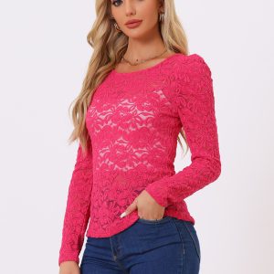 Retro Lace Semi Sheer Puff Long Sleeve Embroidery Blouse Hot Pink/S - Allegra K catalog