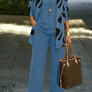 Women Plain Two-Piece Set Daily Long Sleeve Casual Spring/Fall Multi-Piece Set Matching Set, Sets, color:Blue|size:XXL, catalog Noracora shop