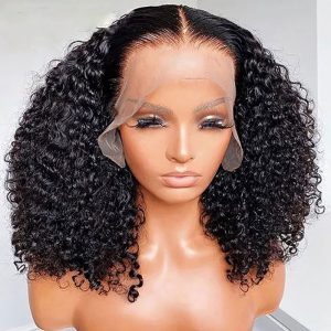Nadula Short Curly Bob Wigs Full Lace Front Bob Wigs Human Hair 10-12 Inch Available, Catalog Online Nadula 1412