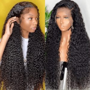 Nadula Glueless Curly Undetectable HD Lace Wig 13*4 Lace Frontal Human Hair Wig, Catalog Online Nadula 2022