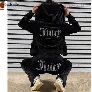 Womens Velvet Tracksuit Set - Two Piece Velour Sweatsuit Outfit with Hoodie and Pants for Leisure u0026 Sports L251108B6AG