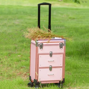 Women Fashion Pink Trolley Cosmetic Rolling Luggage Men Luxury black Nails Makeup Toolbox Beauty Tattoo Trolley Suitcase - AliExpress Luggage