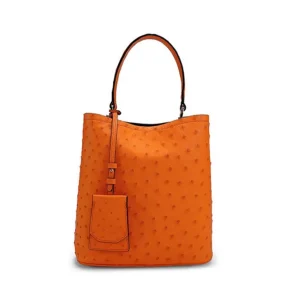 hanlante Ostrich leather Female bag Female bag new Ostrich Leather bag Women tote bags - AliExpress Women's Handbags