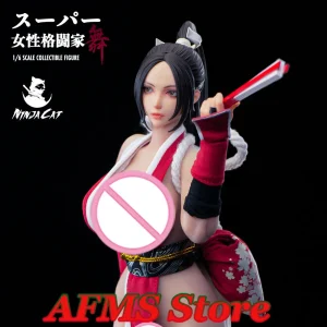 Ninja Cat N001 1/6 Scale Collectible Figure Sexy Female Fighter Dancer Full Set 12Inch Women Soldier Action Figure Model - AliExpress Action & Toy Figures