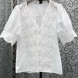 Lace Shirt Women's V-neck Bubble Sleeve Embroidered Hollow out Netting Long Sleeve Top Fashionable Versatile  Color Blouse - AliExpress Shirts & Blouses