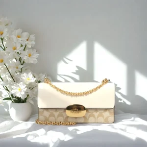 Coach Ole Women'S Pvc With Leather Crossbody Bag - AliExpress Women's Handbags