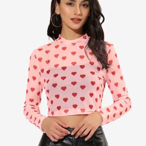 Semi-Sheer Sexy Heart Mesh Crop Top Long Sleeve Blouse Pink/S - Allegra K catalog