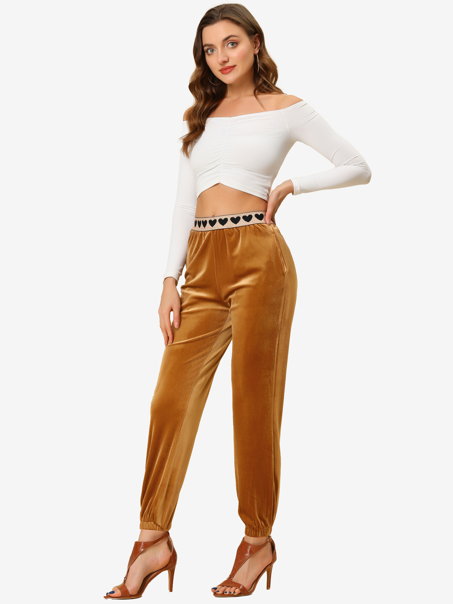 Casual Elastic Waist Athleisure Ankle Length Velvet Joggers Pants Brown/L - Allegra K catalog