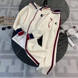 Designer's Lady's suit High end casual sports suit for women in autumn -style hooded sweatshirt high waisted straight leg pants two-piece set trendy d51