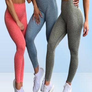 10 colours Women039s Seamless Fitness Leggings Female High Waist Running Sports Leggings Sportswear Gym Yoga Sport Pants clothi5943175