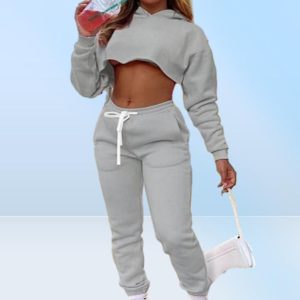 Women039s Two Piece Pants Fall Pink Sweatsuits For Women Hoodie Sweatshirt Crop Top Joggers Sweatpants Set Casual Tracksuits Wh8403665