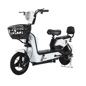 500W 48V 12ah Electric Bike Men's And Women's Two Wheel Electric Bicycle 25km/h - AliExpress Motorcycle & ATV