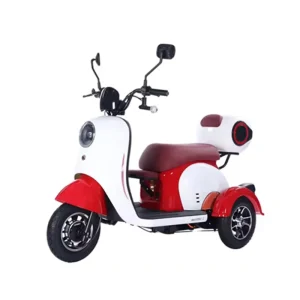 STLF Wholesale Fashion Electric Tricycle with Locked Trunk Electric Bicycle for Men and Women - AliExpress Motorcycle & ATV