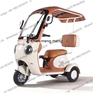 New shed electric tricycle leisure scooter small women pick up children the elderly battery car - AliExpress Motorcycle & ATV