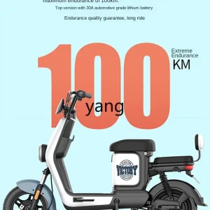 LTT electric vehicle adult battery lithium battery men and women small electric bicycle - AliExpress Motorcycle & ATV