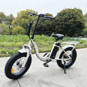 20 Inch Step Thru Fat Tire Electric Folding Bike 48v 15ah Ebike for Men Women City Snow Bike Cheap Price with Rear Cargo Rack - AliExpress Motorcycle & ATV