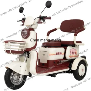 New electric tricycle small push-pull elderly women's annual leisure transportation battery car - AliExpress Motorcycle & ATV