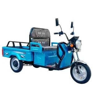 Electric Tricycles Price 3 Wheel Motor Hybrid Tricycles for Women Motos Electricas Adullto Electric Car Vehicle for Adults - AliExpress Motorcycle & ATV
