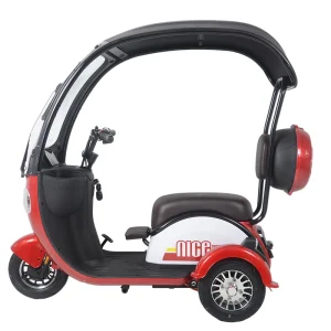2024 Hot Sale Family Use 1000w Electric Tricycle 3 Wheel Women's Electric Tricycle - AliExpress Motorcycle & ATV