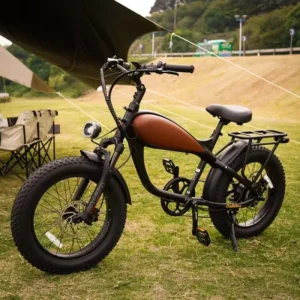 20x4.0 Fat Tire E-Bike for Women C900 Display Lithium Battery Adult Electric Bicycle - AliExpress Motorcycle & ATV