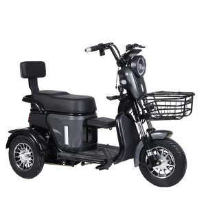 Mini Women Electric Tricycle 800w Big Power Family 3 Wheel Electric Cargo Motorcycle With Basket - AliExpress Motorcycle & ATV