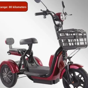 Electric tricycle adult household women small mini elderly transportation leisure battery car source factory wholesale - AliExpress Motorcycle & ATV