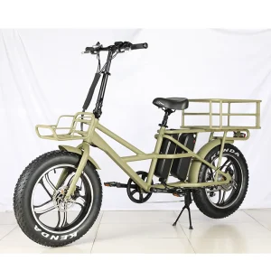 20inch 15Ah 48V350W/500W Long Tail Dual Battery Cargo Bike Cargo Ebike Women Electric Bike Fat Tire Ebike From China - AliExpress Motorcycle & ATV