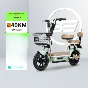 LTT electric vehicle lead-acid new national standard men's and women's lightweight small battery car - AliExpress Motorcycle & ATV