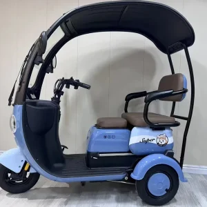 48V Electric Three-Wheel Steel Tricycle Integrated Rear Hub Motor 3-Speed Small  Battery Car for Elderly Women Children - AliExpress Motorcycle & ATV