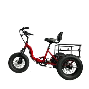 Low Price Electric Cargo Tricycles for Adults Electric Bicycle 3 Wheels for Women - AliExpress Motorcycle & ATV