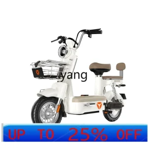 CX electric car women's battery adult small new national standard lithium battery - AliExpress Motorcycle & ATV
