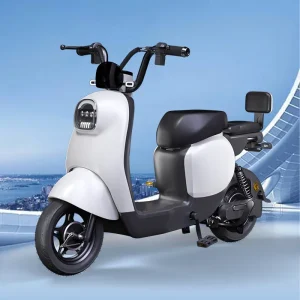 LTT electric vehicle men's and women's turtle models electric motorcycle lithium battery anti-theft double electric bicycle - AliExpress Motorcycle & ATV