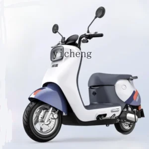 TQH Lvyuan 60V20A lead-acid electric motorcycle men and women high-speed long-distance running NFC start battery car - AliExpress Motorcycle & ATV