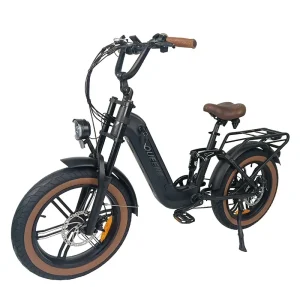 Women Step Through High Speed 20inch Fat Tire Disc Brake 1000W Mountain Bicycle Ebike Electric Bike With Lithium Battery - AliExpress Motorcycle & ATV