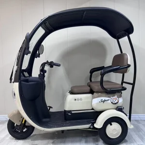 Electric 48v Three-Wheel Steel Tricycle with Rear Hub Motor 3-Speed Small  Battery Car for Elderly Women and Children - AliExpress Motorcycle & ATV